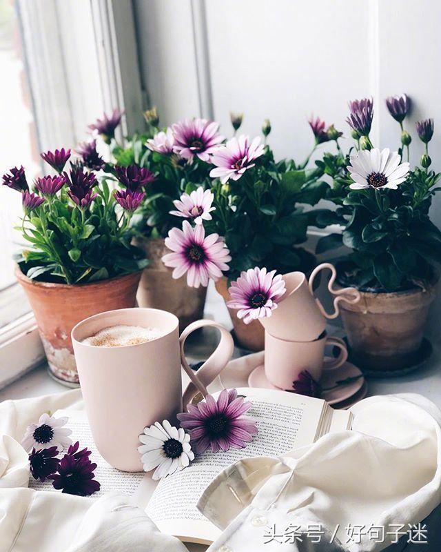 微信朋友圈爱情说说心情短语句句走心哪句让你感触最深