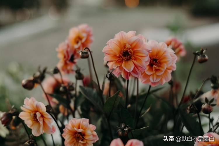 微信式的爱情：见面好说分手一段感情才能真正的结束